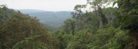 Bwindi Mountains